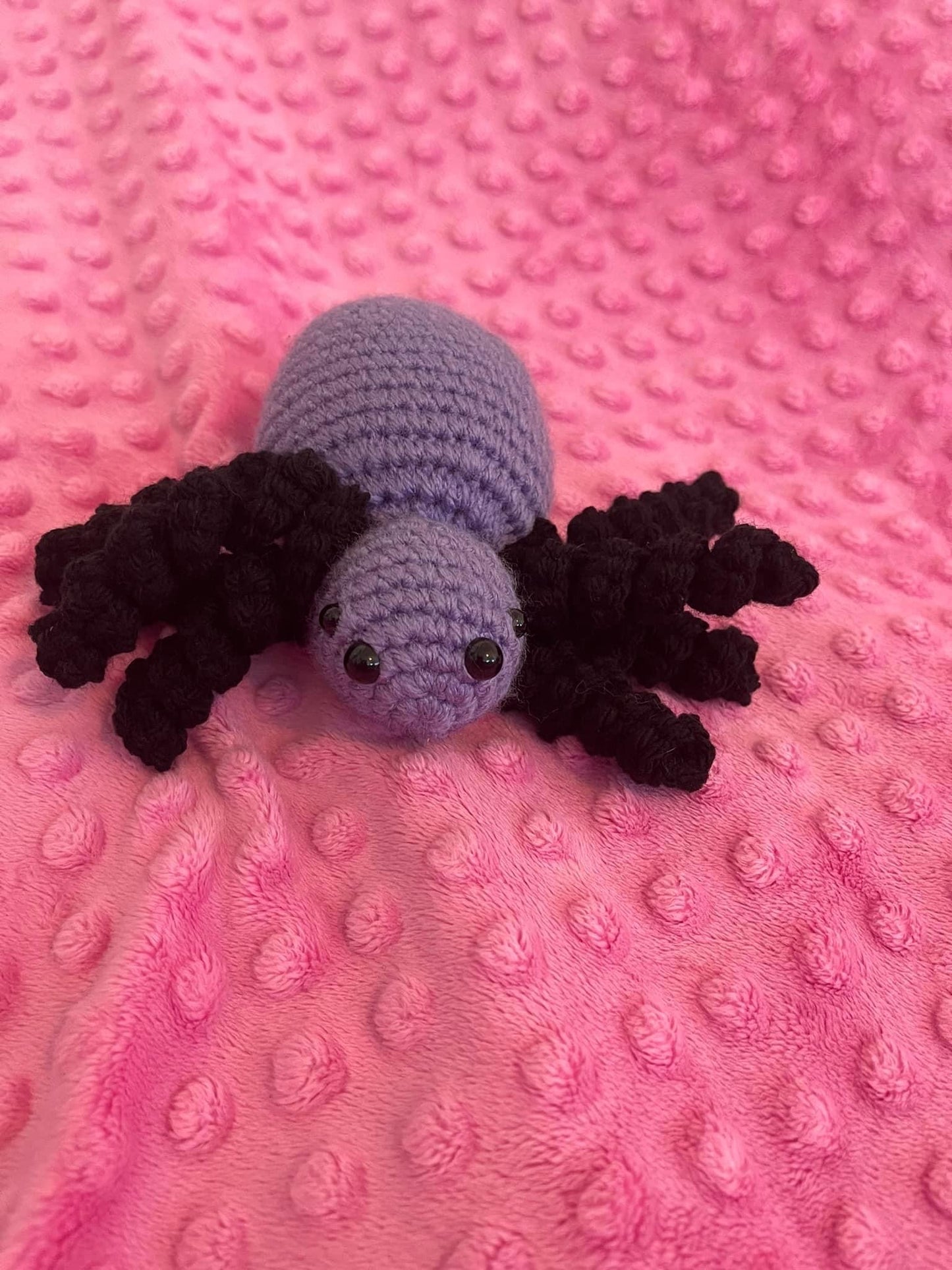 SPIDER