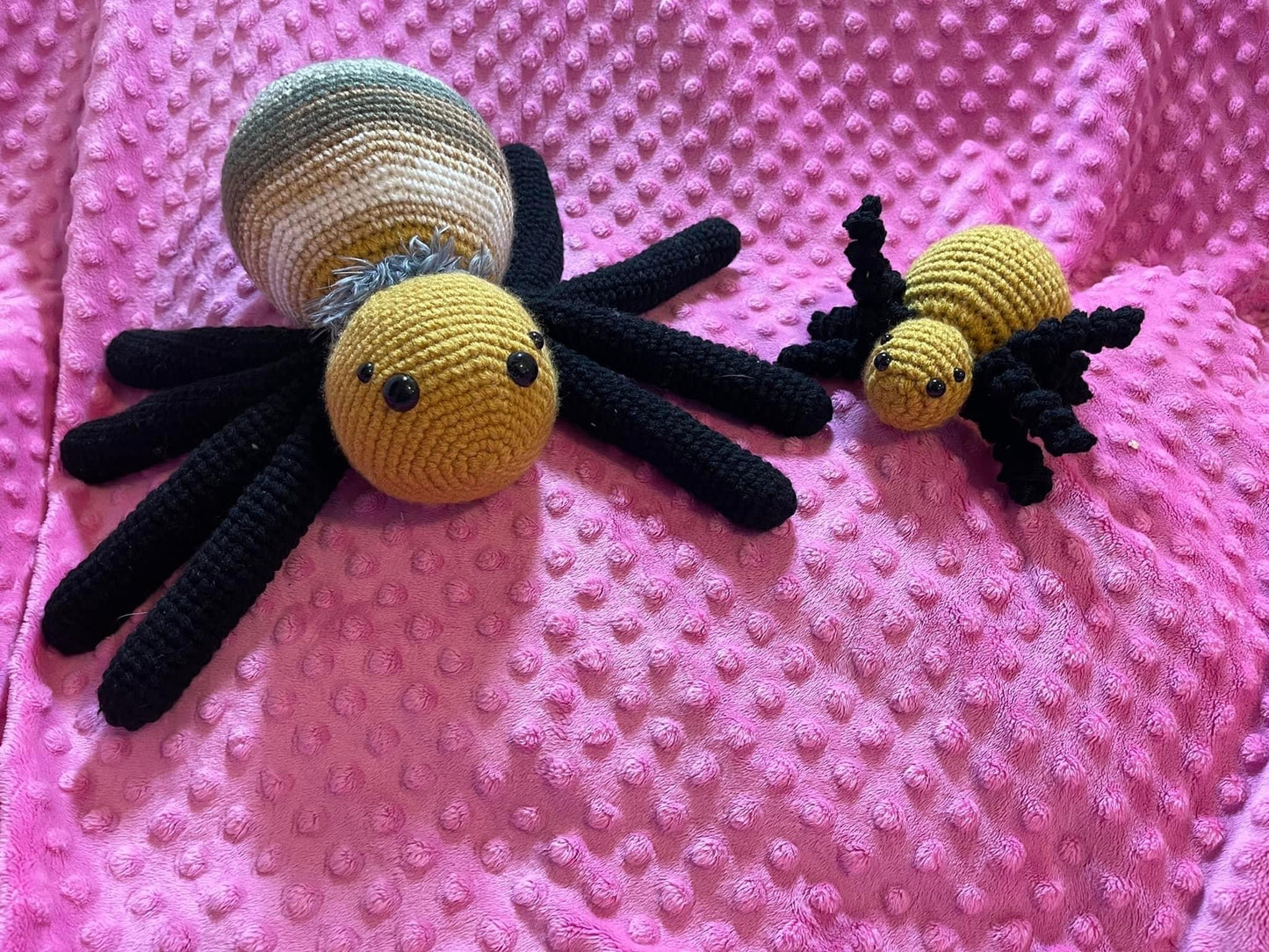 SPIDER