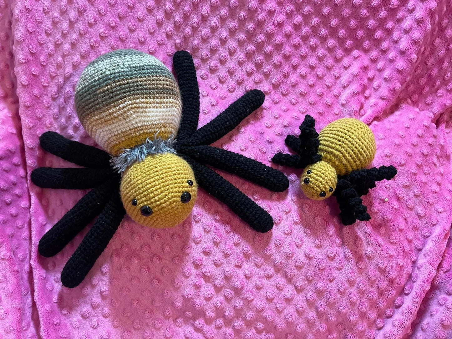 SPIDER