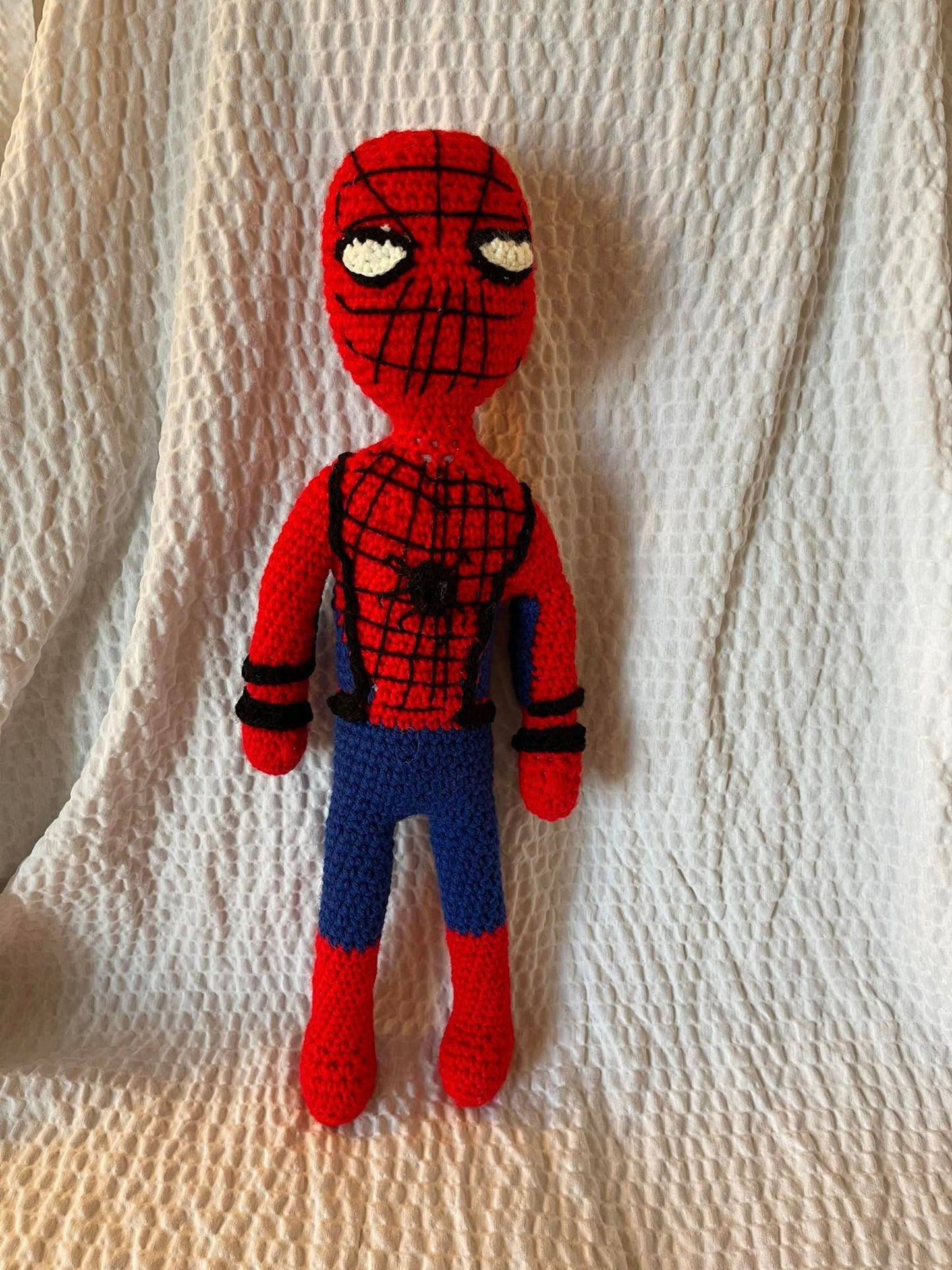 SPIDER KID - MASKED