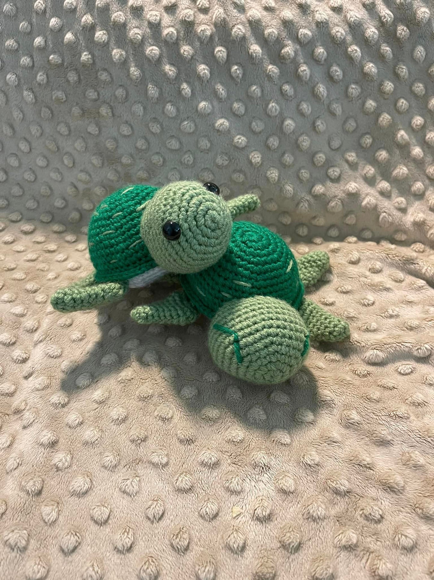MINI TURTLE