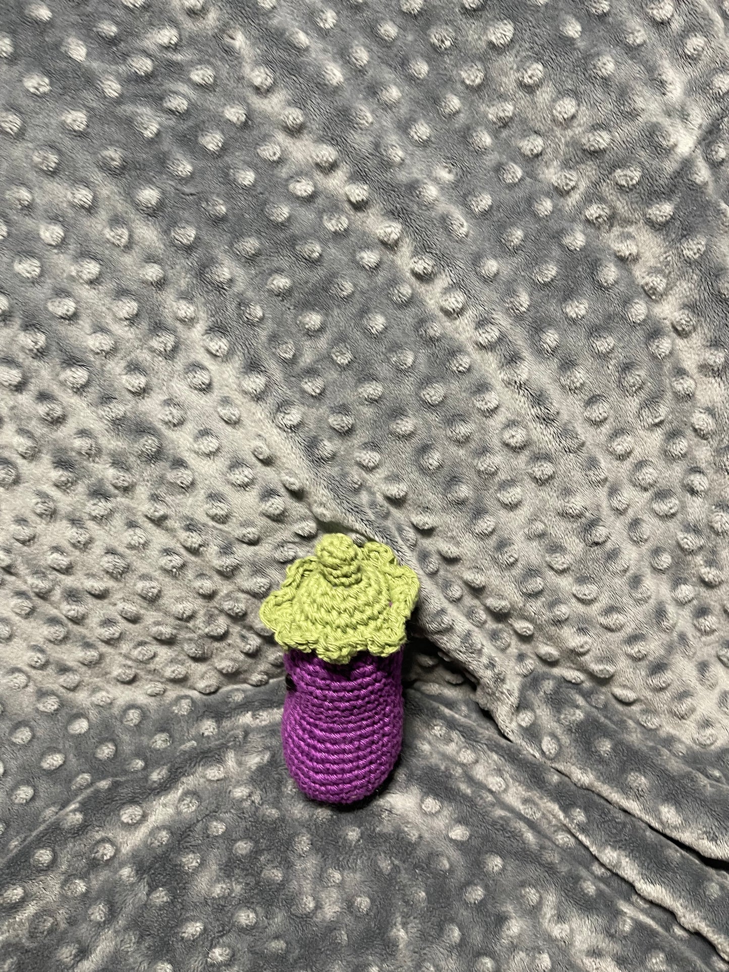 EGG PLANT
