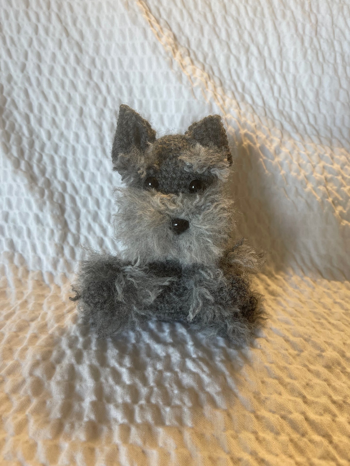 SCHNAUZER