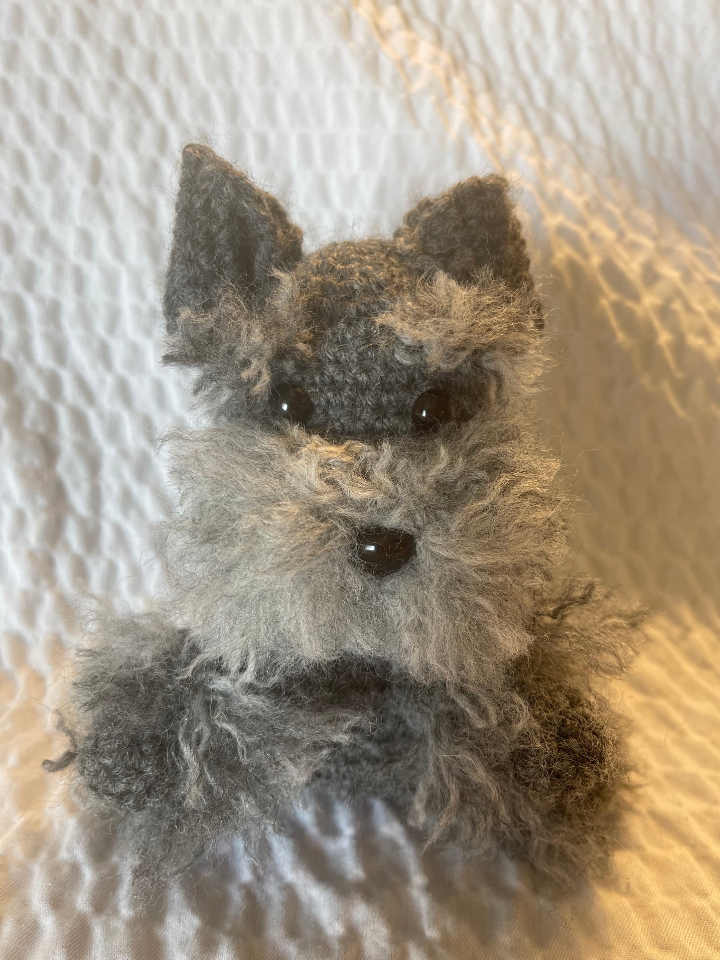 SCHNAUZER