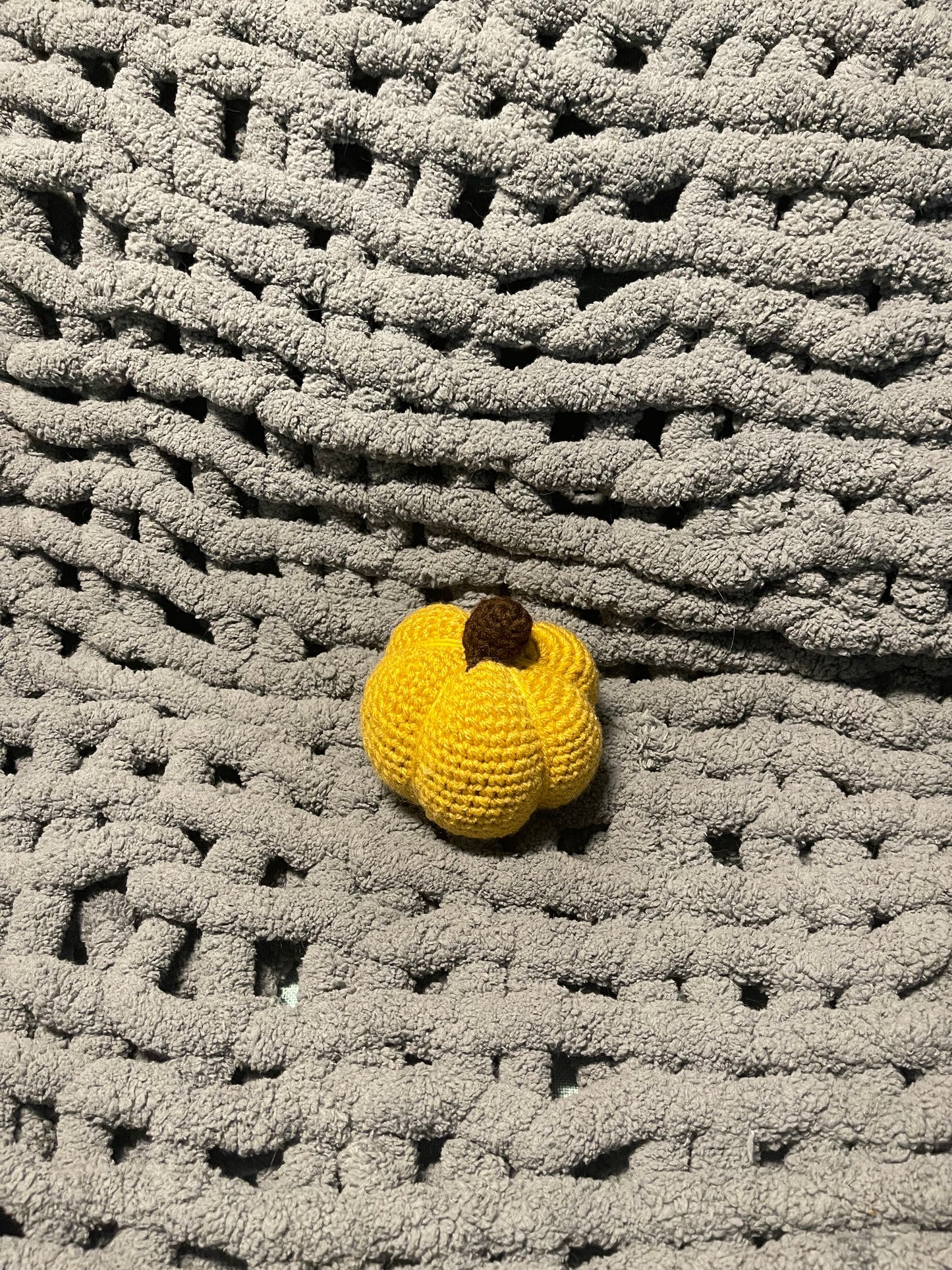 TRADITIONAL PUMPKIN