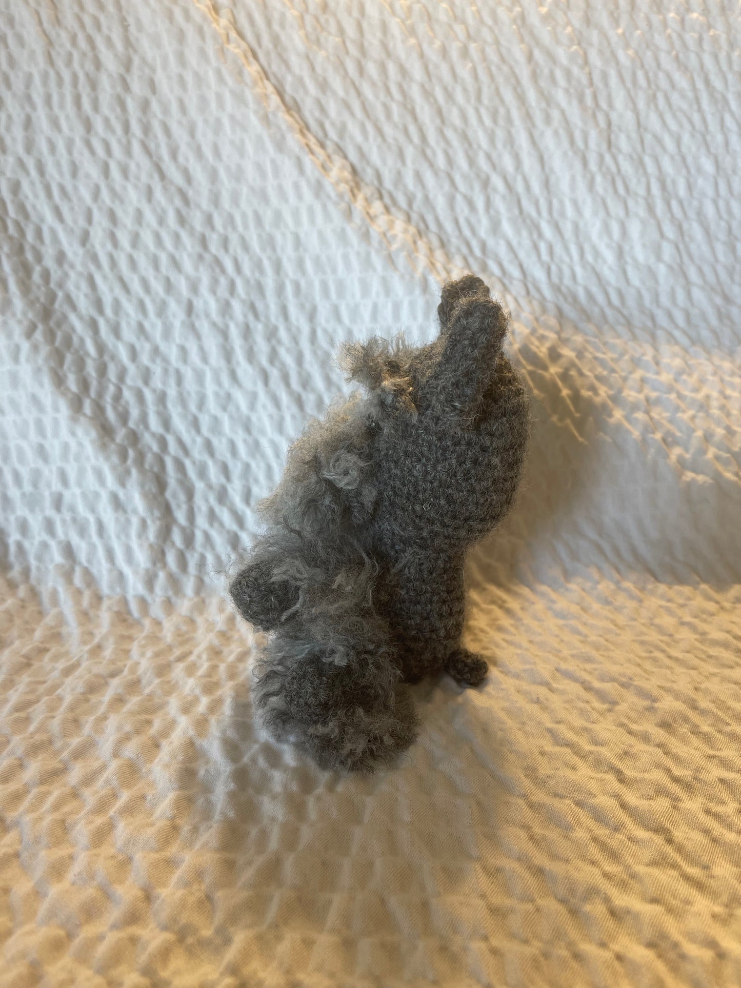 SCHNAUZER