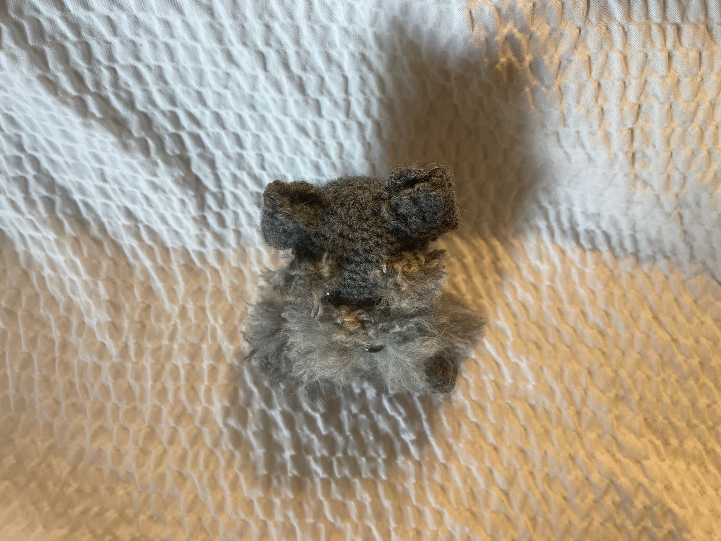 SCHNAUZER