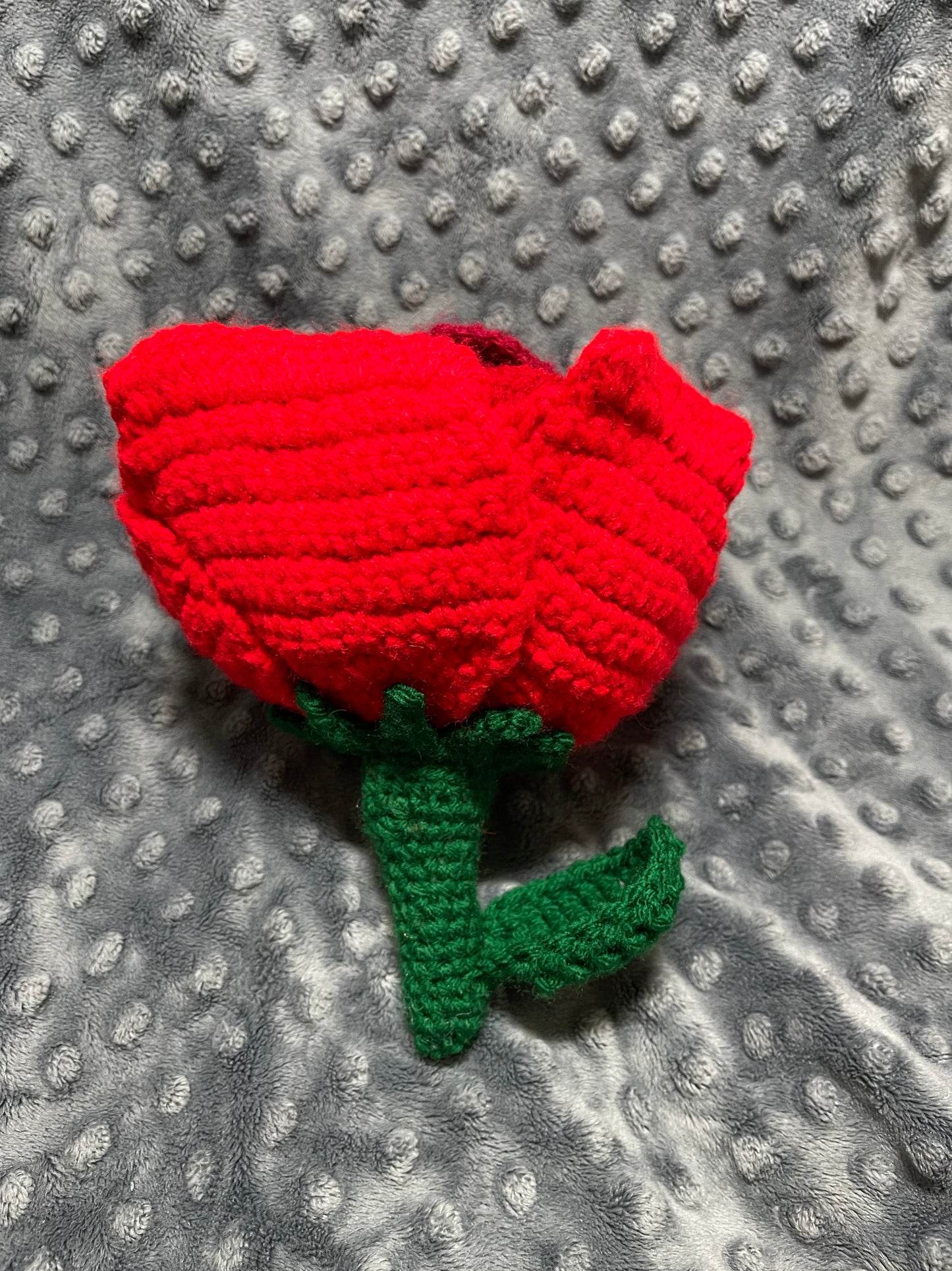 ROSE FAIRY