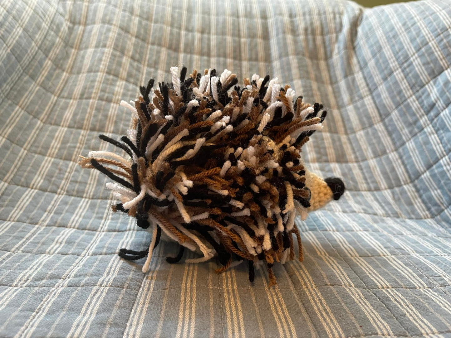 HEDGEHOG